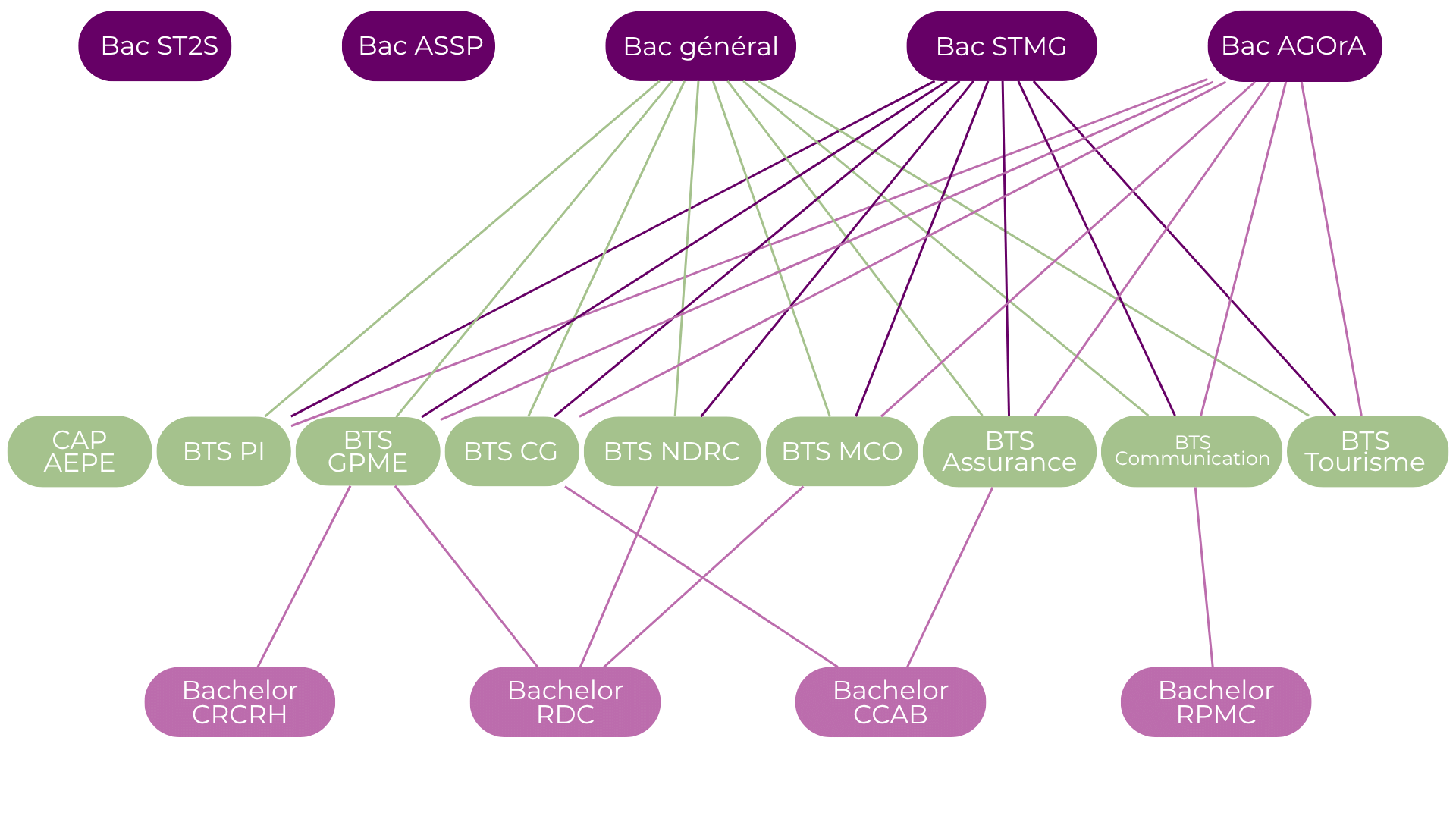Carte des formations : du CAP au Bachelor